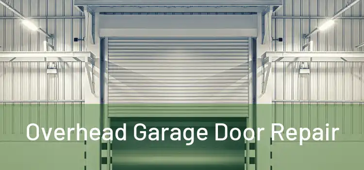  Overhead Garage Door Repair 
